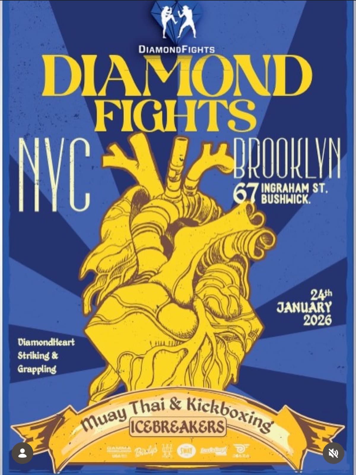 Diamond Fights NYC Brooklyn