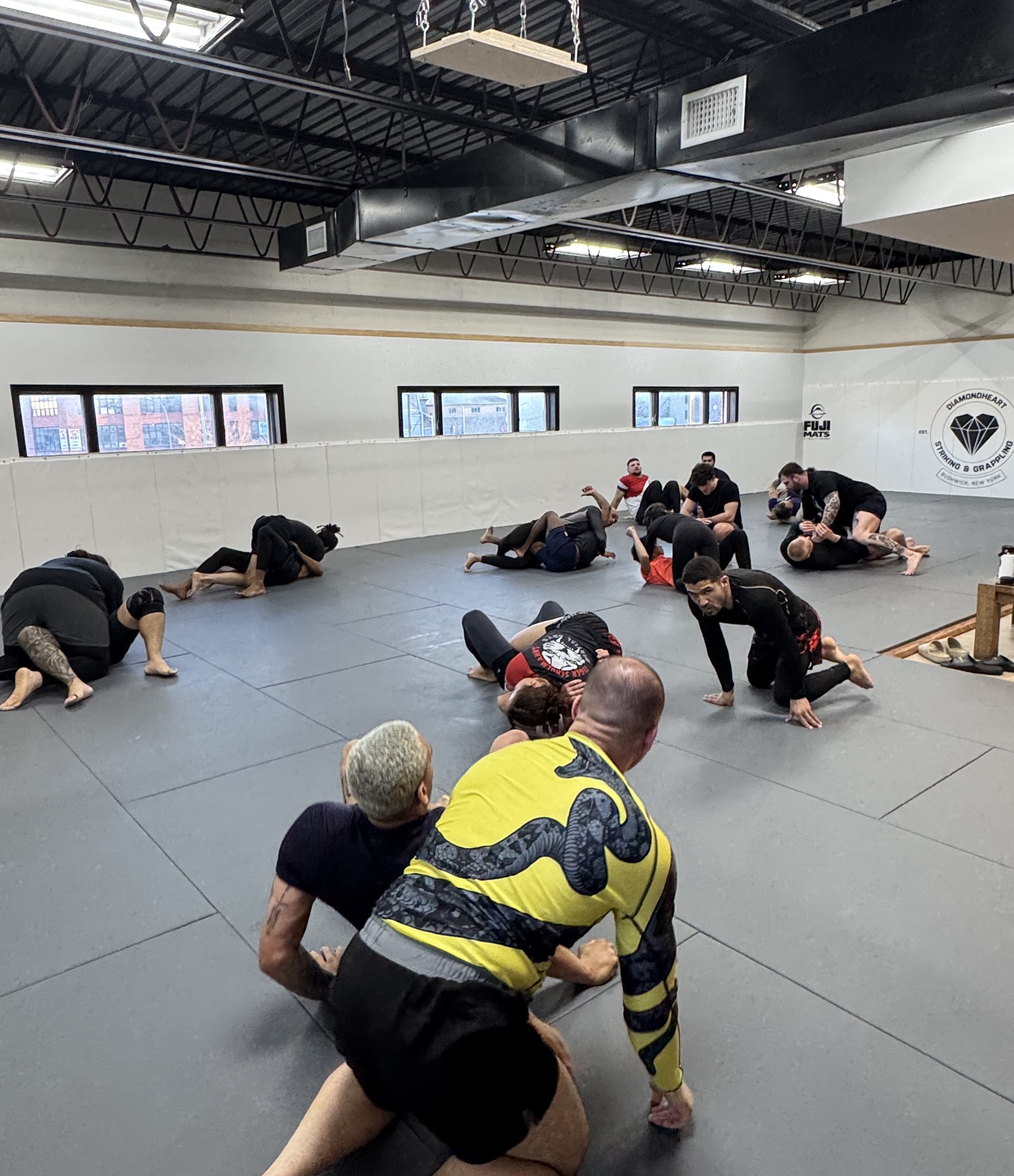 Brazilian Jiu-Jitsu (Gi & No-Gi)